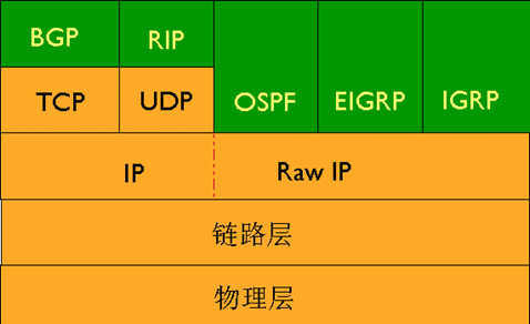 BGP与其他路由协议所在位置对比